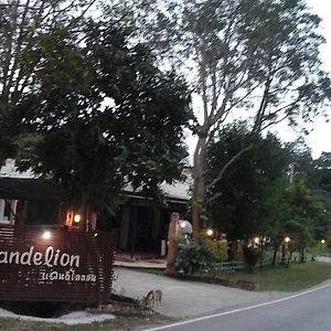 Dandelion Resort